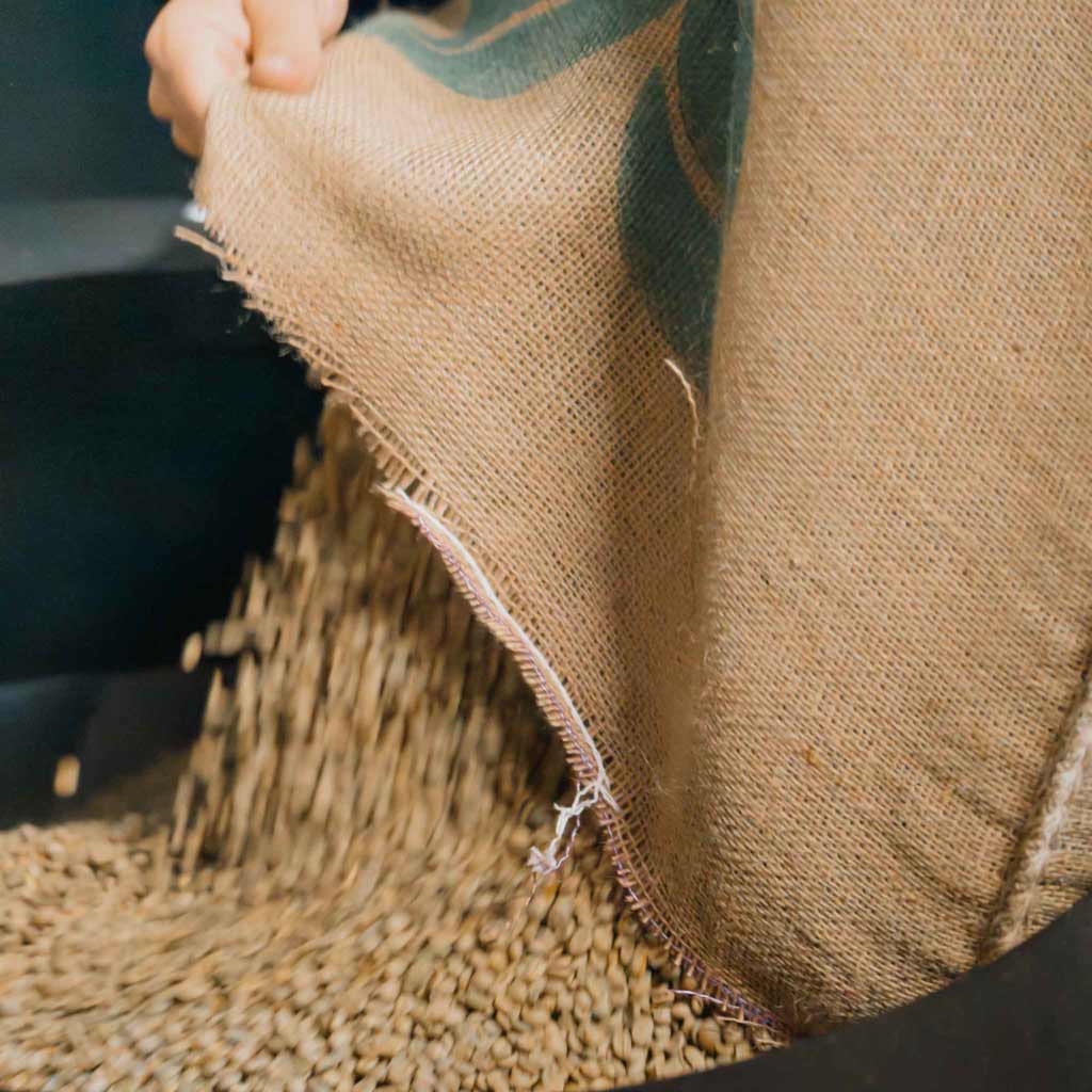 Kaffesæk der hælder bønner ned i en kafferister-maskine